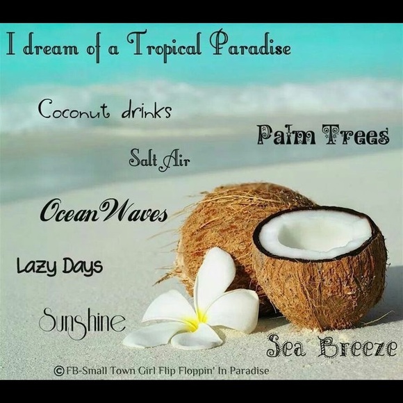 Multi colored glitter Toucan dangle Earrings.These earrings have a Tropical Vibe - Picture 9 of 11